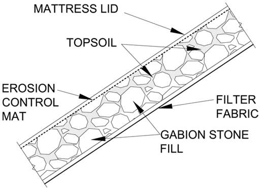 bio engineering graph bio engineering graph