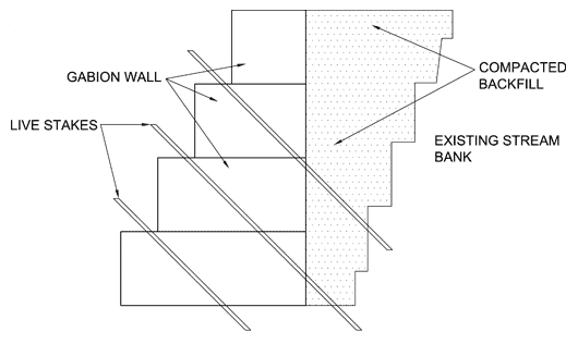 bio engineering graph bio engineering graph