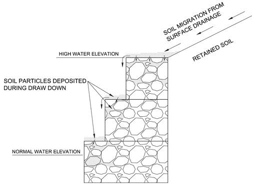 bio engineering graph bio engineering graph