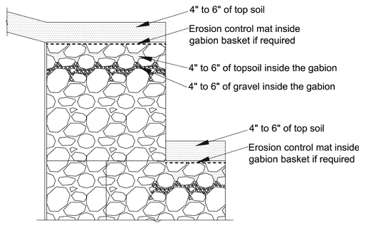 bio engineering graph bio engineering graph