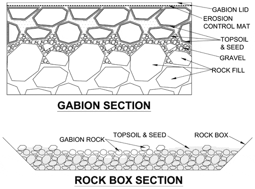 bio engineering graph bio engineering graph